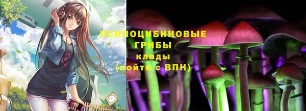 прущая мука Алзамай