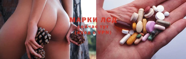 СК Абинск