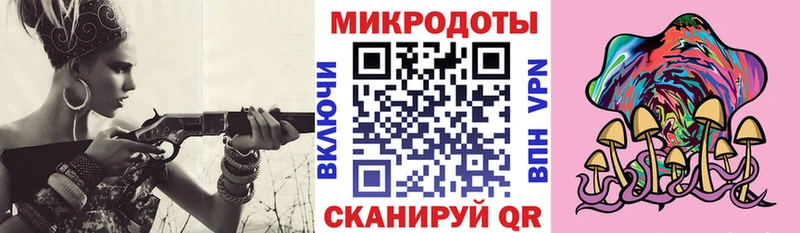 Псилоцибиновые грибы Cubensis Бежецк
